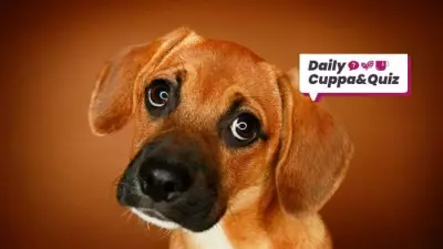 April 28 Quiz: Elvis, Shakespeare, and Michael Caine Facts