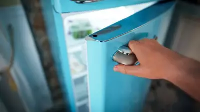 Beyond Food: Five Surprising Household Items You Should Freeze