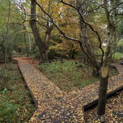 Birmingham's Hidden Historical Gems: The Stories Behind Everyday Places