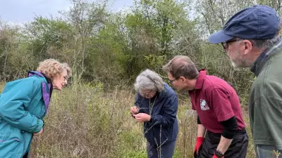 Buckinghamshire School Children to Star on BBC's Countryfile Saving Rare Butterfly