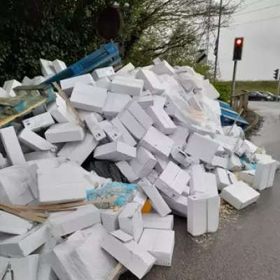 Council Investigates Mystery Fish Dumping Incident in Coleshill