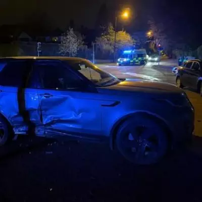 Dog Thrown Through Car Window in Sutton Coldfield Crash; Couple Appeal