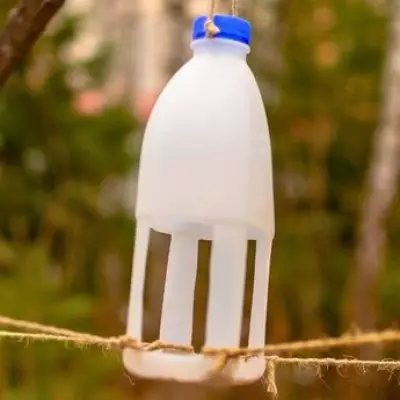 Gardeners Urged to Repurpose Milk Cartons as Bird Feeders This Spring