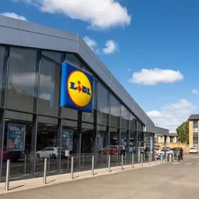 Lidl to Sell Plug-in Solar Panels That Could Save Households £110 Annually