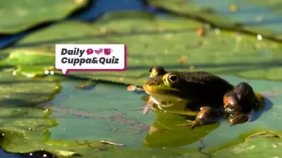 Mathematician Andrew Wiles, Solver of Fermat's Last Theorem, Born This Day in 1953