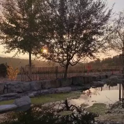 Midland Mum Pays £10k for Swiss Assisted Dying After Son's Death