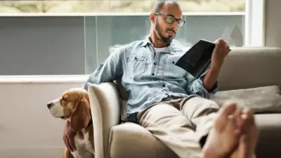 New Book Releases: Porcupines, The Wreck, Go Gentle, The Age Code, Is This A Plum?