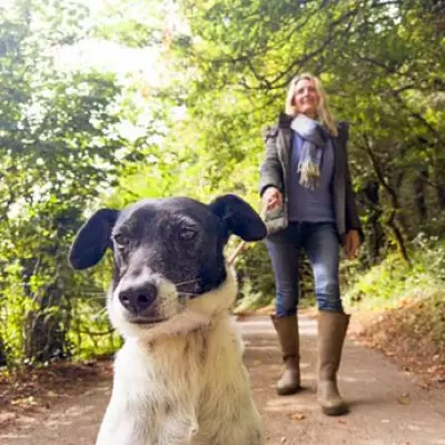 New UK Dog Walking Rules Start May 1: £1,000 Fines for Beach Violations