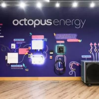 Octopus Energy Hits 8 Million Customers, Leads Green Energy Shift