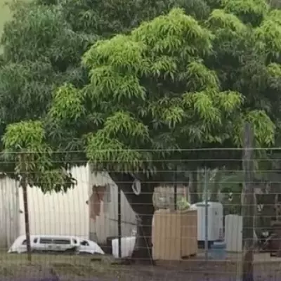 Seven Family Members Kidnapped, Raped, and Executed in South Africa