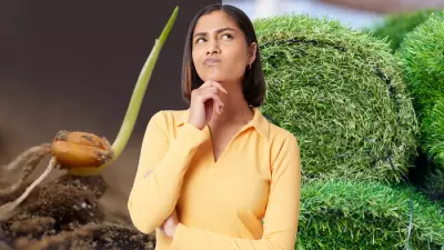 Turf vs Seed: Expert Guide to Choosing the Right Lawn for Your Garden