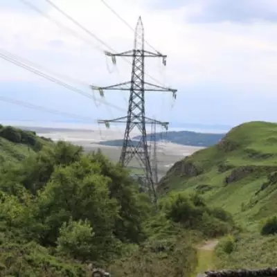 UK Households to Receive Payments for Strategic Electricity Use in Grid Overhaul