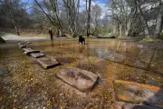Cannock Chase Stepping Stones: A Scenic Spot with a Dark Historical Past
