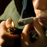 Dudley's Tough Anti-Social Behaviour Policy Faces Enforcement Hurdles