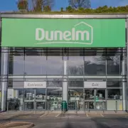 Dunelm Tulip Armchair Slashed by £89 in Limited-Time Sale