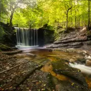 Family Recommends Waterfall and Bluebell Trail Near Birmingham