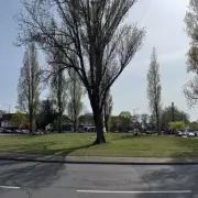 Flags Temporarily Removed from Kingstanding Circle for Maintenance Works