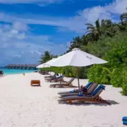 Foreign Office Warns UK Tourists of Health Risks in Maldives