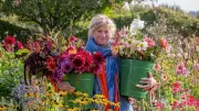 Grow Your Own Cut Flowers: Expert Tips for Summer Blooms and Vase Longevity