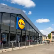 Lidl to Sell Plug-in Solar Panels That Could Save Households £110 Annually