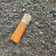 Man fined £500 for dropping cigarette after being blocked from picking it up