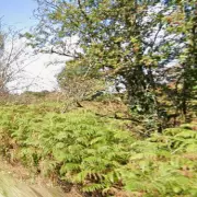 Men Arrested After Waiting Outside Elderly Woman's Home for £5,000