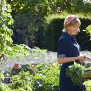Monty Don Warns UK Gardeners: £5,000 Fine for Digging Up Wild Bluebells