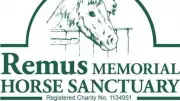Remus Horse Sanctuary Open Day Features Mickey Mouse as Special Guest
