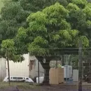 Seven Family Members Kidnapped, Raped, and Executed in South Africa