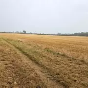 Solar Farm Approved in Glazebury Despite Green Belt Objections