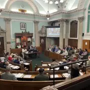 Walsall Councillors' Allowances Exceed £1.22 Million in 2025-26 Financial Year