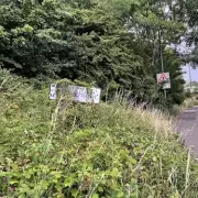 Walsall Election Candidates Outline Stances on Green Belt, Housing and Rewilding