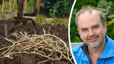 6 Unusual Gardening Tips from Expert Simon Akeroyd to Save Time and Money