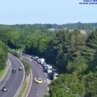 8-Day-Old Baby Hospitalized After Drunk Driver Flips Car on M50
