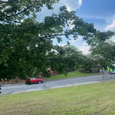 Armed Police and Bomb Squad on Northfield Street After Evacuations