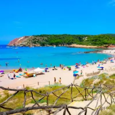 Balearic Islands Face 'Tragic' Snake Invasion Threatening Lizards