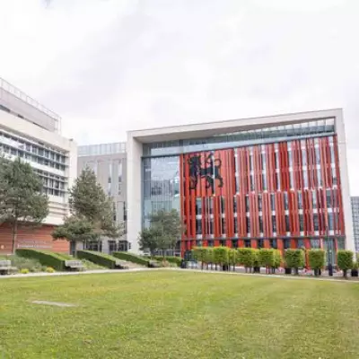 BCU staff 'blindsided' by 'callous' plan to axe Black Studies MA