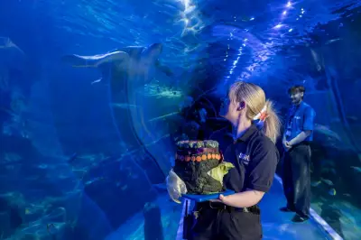 Birmingham Sea Turtle Celebrates 50th Birthday with Special Cake
