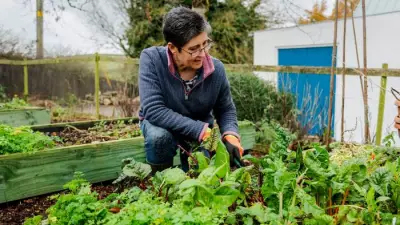 Boost Your Vegetable Harvest with Expert Companion Planting Tips