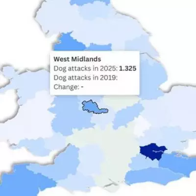 Dog Attacks in West Midlands More Than Double Since Pandemic