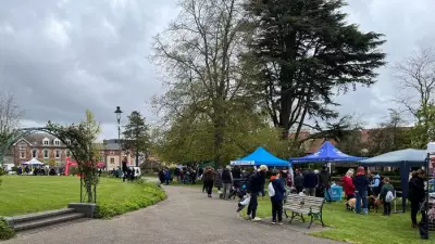 Dog Day and Community Safety Event Coming to Braintree Park