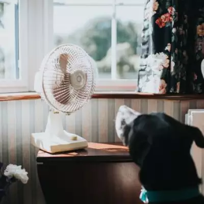 Fan Hack Could Save UK Households Nearly £55 Weekly