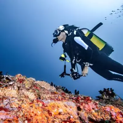 Five Italian Tourists Die in Maldives Diving Cave Tragedy