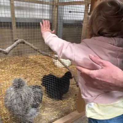 Hidden Gem Farm Park 50 Minutes from Birmingham Is Too Good to Keep Secret