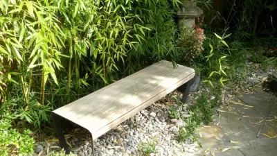 Identify and Tackle 7 Invasive Garden Plants This Spring