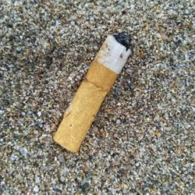 London Resident Fined £500 for Cigarette Butt in Rubbish Sack
