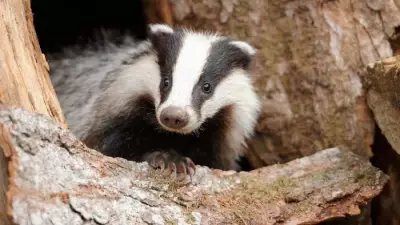 New Nature Group Hosts Free Family Wildlife Open Day at Stackpole