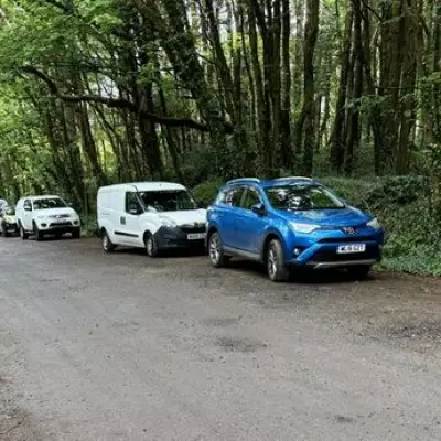 Police Swarm Cornwall Woodlands After Woman's Body Found