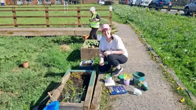 Rotarians and Friends Join to Spruce Up Lumb Millennium Green