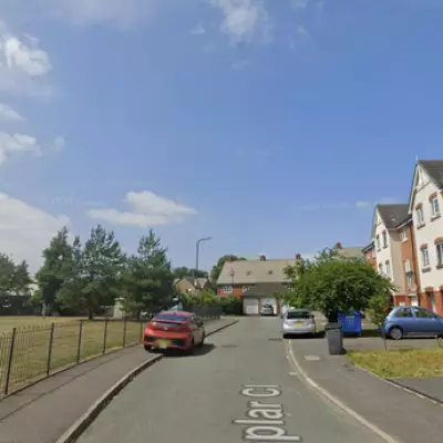 Staffordshire Bull Terrier Attack in Shrewsbury: Police Appeal for Owners